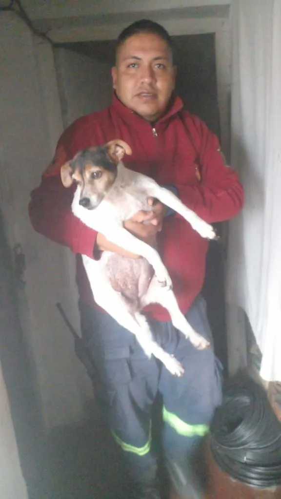 Imagen-de-WhatsApp-2023-10-31-a-las-13.00.49_b1de5805-576x1024