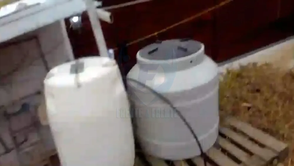 InShot_20231017_161311340