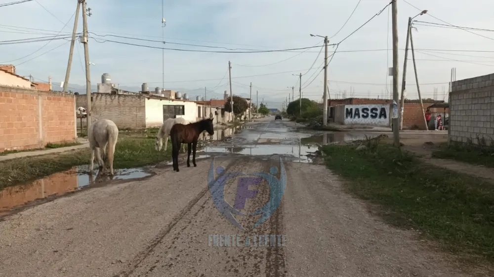 InShot_20231013_162908092