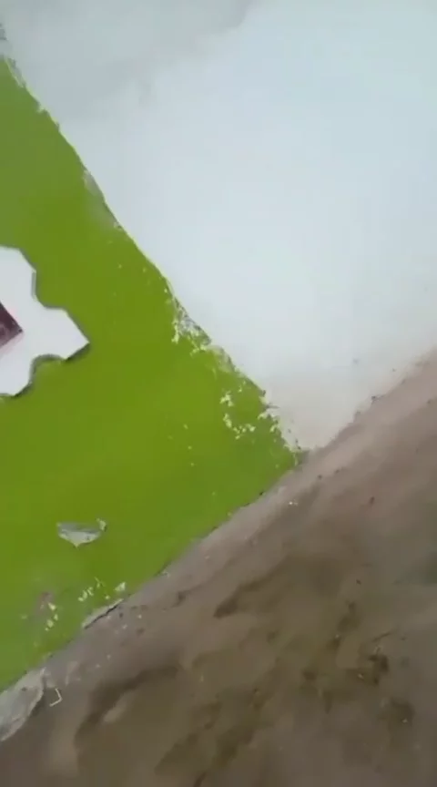 VID-20260507-WA0002