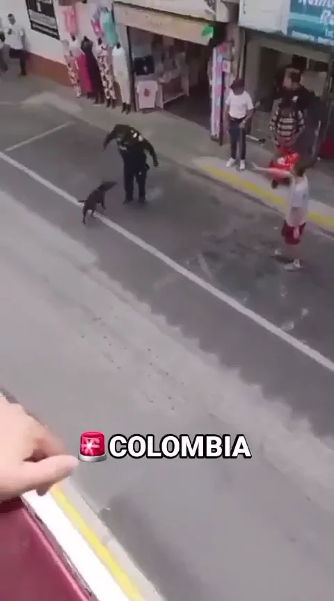 jopiopoip