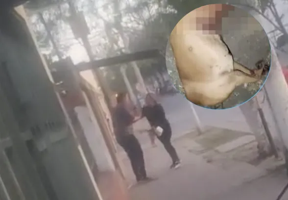 Captura de pantalla 2024-08-15 194850