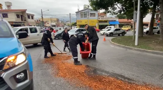 Captura de pantalla 2024-11-19 191240