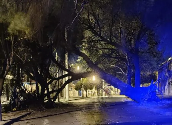 WhatsApp-Image-2025-08-19-at-9.57.23-AM-1-577x420