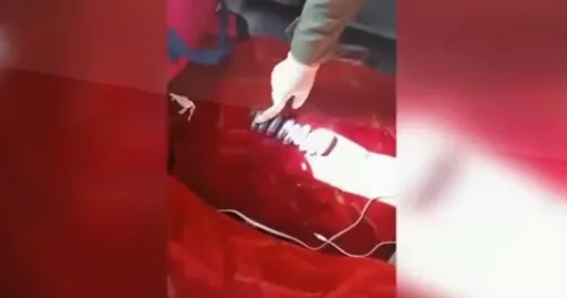 Captura de pantalla 2025-01-17 030455