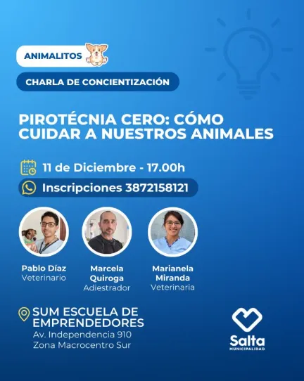 Captura de pantalla 2024-12-05 195416