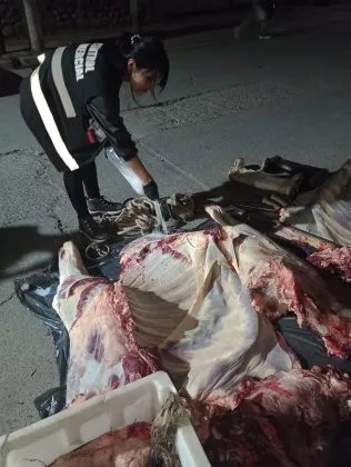 WhatsApp-Image-2024-09-19-at-1.45.00-AM-316x420