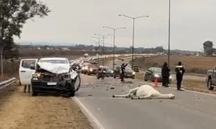 WhatsApp Image 2025-07-02 at 10.58.32