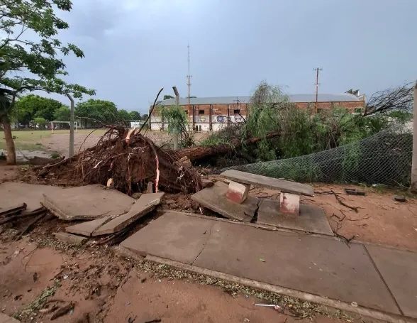 Captura de pantalla 2025-12-22 151754