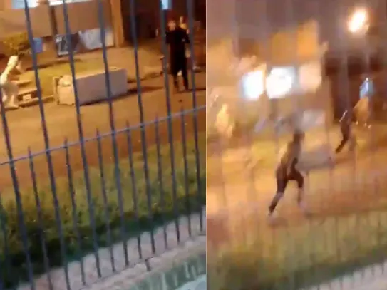 Captura de pantalla 2024-10-21 204347