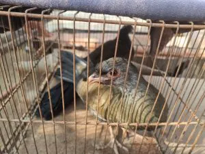 WhatsApp-Image-2024-09-10-at-8.11.12-PM-300x225