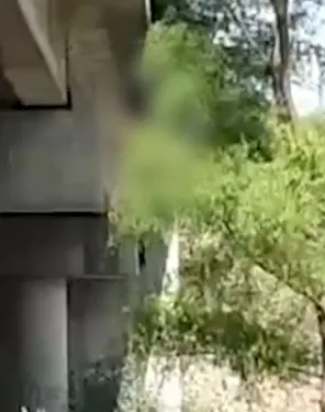 Captura de pantalla_3-10-2024_122642_www.facebook.com