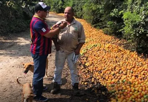 multimedia.miniatura.bffc10a0aea6bdc3.Q09OIENSSVRFUklPX21pbmlhdHVyYS5qcGc=