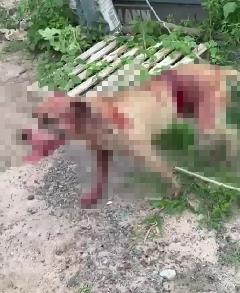 Captura de pantalla 2024-01-22 200746a