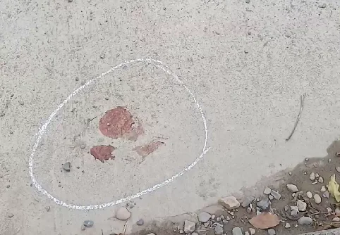 Captura de pantalla 2026-03-23 011628