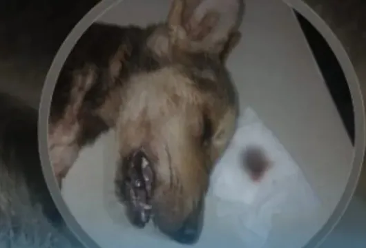 Captura de pantalla_28-11-2025_155126_informatesalta.com.ar