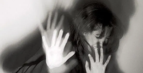 WhatsApp Image 2026-02-12 at 11.11.29