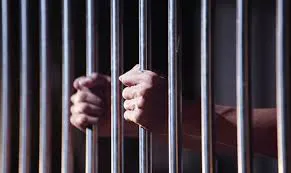 383956706_344358774613949_4682431507835032191_n