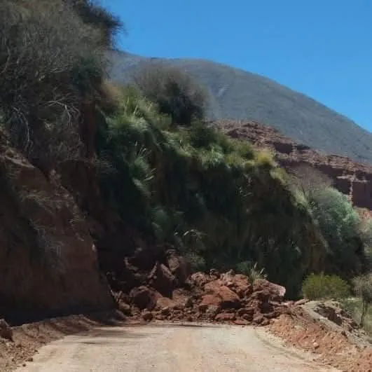 FB_IMG_1758898310334