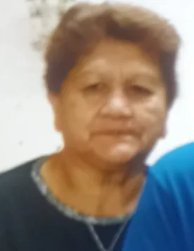 Captura de pantalla 2024-10-02 031610