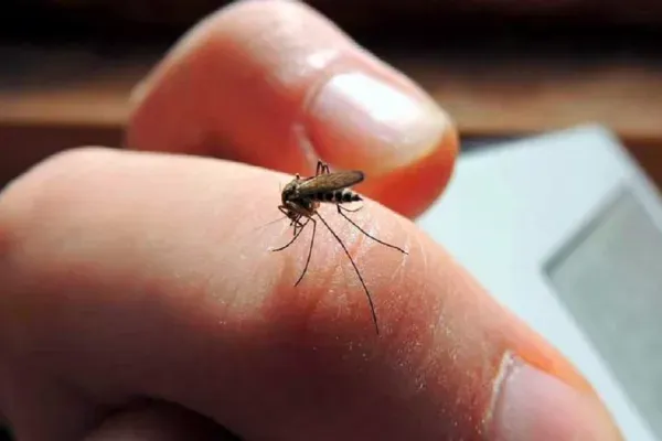 600x400_imagen-ilustrativa-1029897-144107