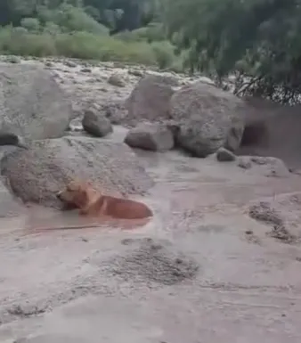 Captura de pantalla 2023-12-28 005438