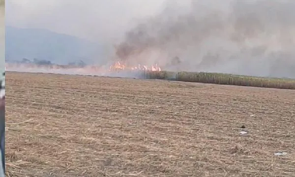 multimedia.miniatura.a41676fb4019ed39.c2FuIGlzaWRyb19taW5pYXR1cmEuanBn