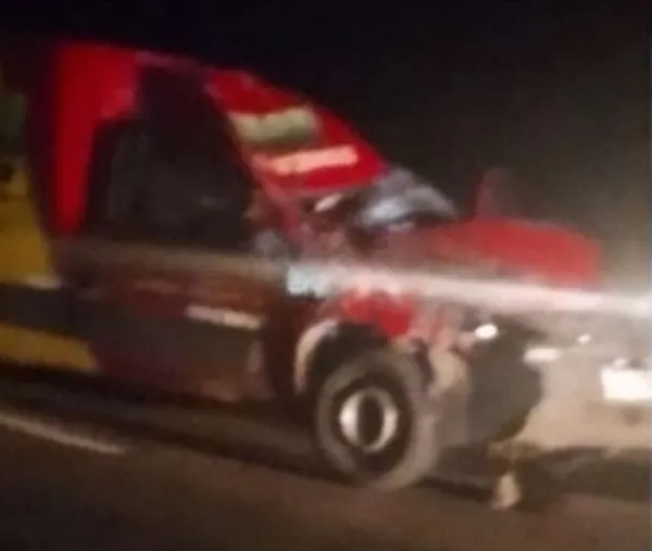 multimedia.miniatura.9c12e907406dd3d8.YW5pbWFsZXNzc2FudGEtdHJhbnNmb3JtZWRfbWluaWF0dXJhLndlYnA=