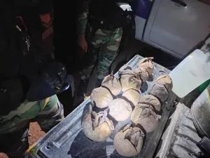 WhatsApp-Image-2025-07-16-at-9.11.44-AM-300x225