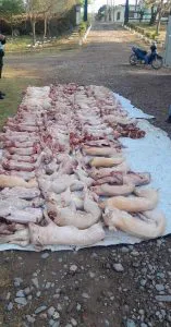 WhatsApp-Image-2024-09-28-at-12.26.49-PM-157x300