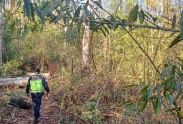 Captura de pantalla 2025-01-22 193801