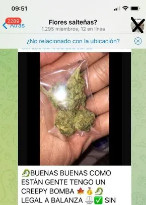 Captura de pantalla 2024-10-08 194751