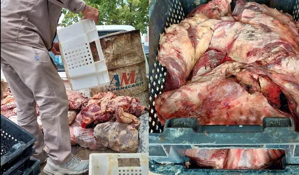 multimedia.miniatura.82a0f04dfcd94657.Y2FybmVwb2RyaWRhX21pbmlhdHVyYS5qcGc=