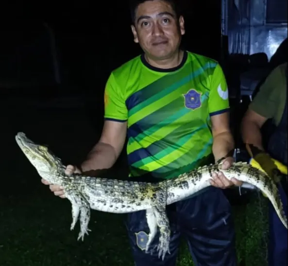 Captura de pantalla 2026-01-09 135902