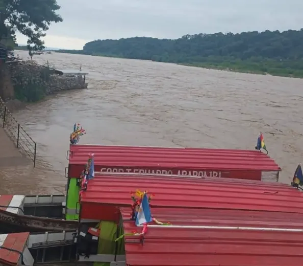 Captura de pantalla 2025-03-13 173403