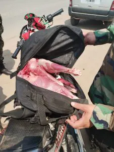 WhatsApp-Image-2024-09-29-at-10.17.55-PM-226x300