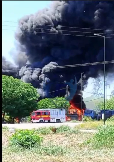 Imagen de WhatsApp 2024-10-25 a las 13.20.14_e8b291cc