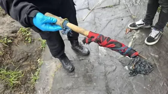 WhatsApp Image 2025-11-06 at 20.16.36