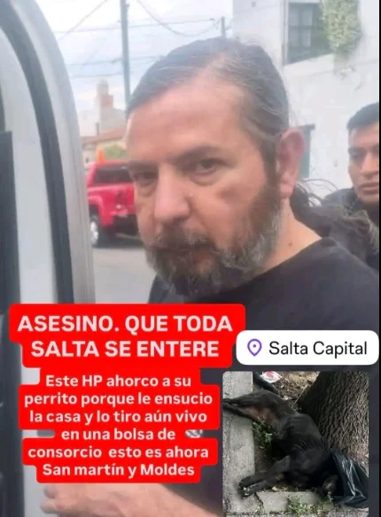 Captura de pantalla 2026-10-08 222300