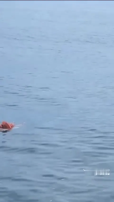 ssstwitter.com_1768488131181