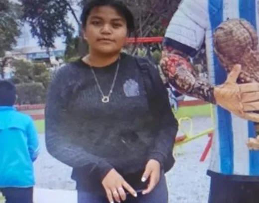 Captura de pantalla 2024-12-02 180747