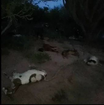 Captura de pantalla 2026-03-16 101103