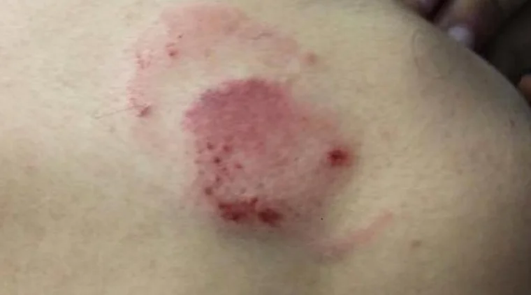 Captura de pantalla 2026-03-04 131901