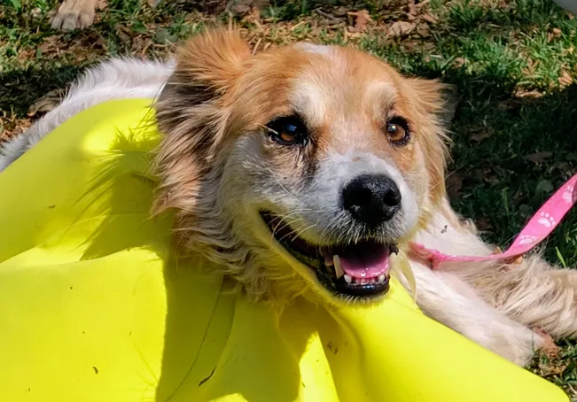 Captura de pantalla 2024-10-30 190819