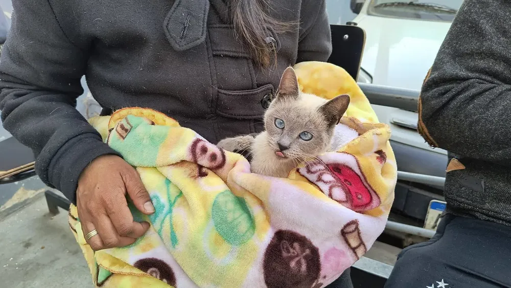 hospital-de-salud-animal-9-1536x864