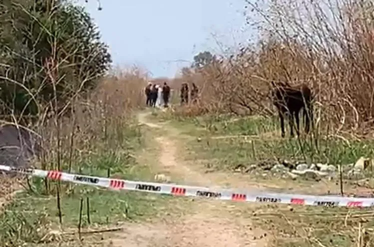 multimedia.normal.92f16c3e878256ef.43756572706f2063616c63696e61646f20656e2043657272696c6c6f69735f6e6f726d616c2e6a7067