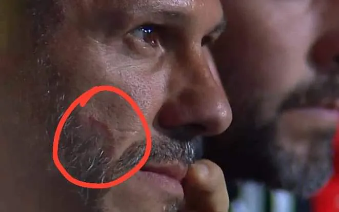 afc2ca4b-f00a-4bca-8410-8e96f1cf3e65