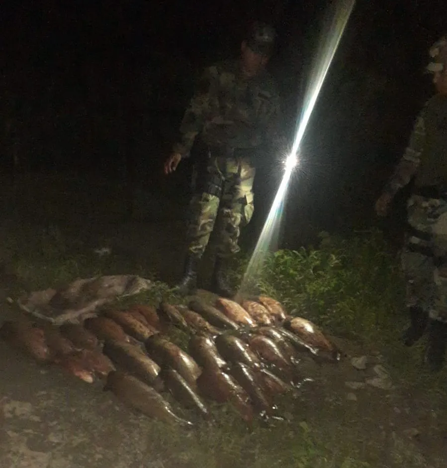 Imagen-de-WhatsApp-2024-01-25-a-las-02.28.28_a74e1f92