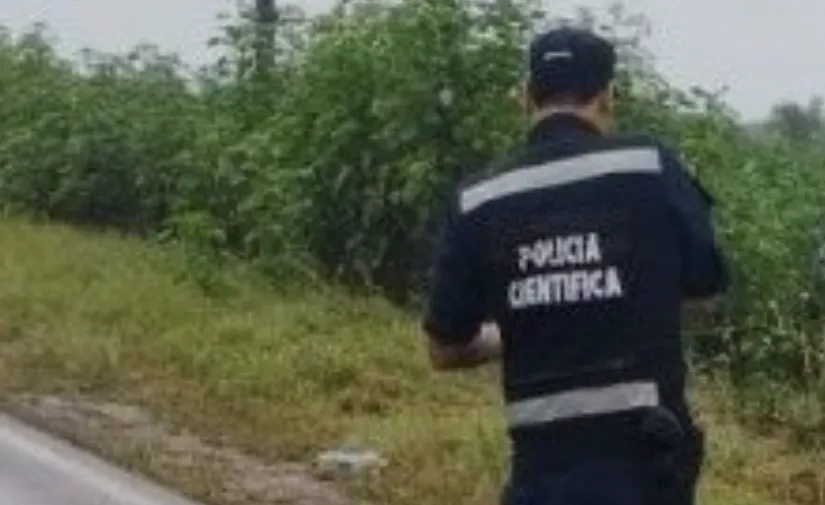 Captura de pantalla 2025-05-09 022142