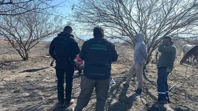 WhatsApp Image 2025-08-27 at 19.23.32